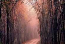 黑白直播nba-西雅图海湾者主帅强调比赛节奏，冲击世俱杯冠军信心足