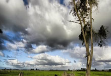 黑白直播nba-西雅图海湾者主帅强调比赛节奏，冲击世俱杯冠军信心足