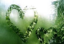 黑白直播nba-西雅图海湾者主帅强调比赛节奏，冲击世俱杯冠军信心足