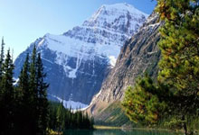 黑白直播-意甲冷温床今夜再燃！博洛尼亚VS维罗纳：黑马光环能否照亮保级铁骨？