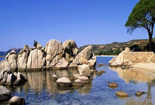 黑白直播网-西悉尼流浪者中场控制加强，争取比赛主动权