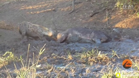 黑白直播nba-公牛队遭遇连败，球队陷入泥淖的简单介绍
