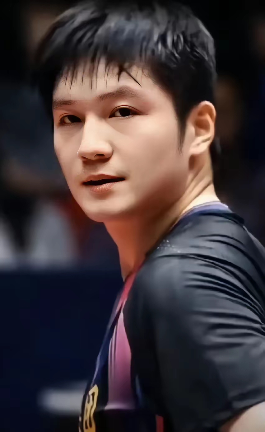 关于韩国队力克德国队，樊振东高光表现的信息