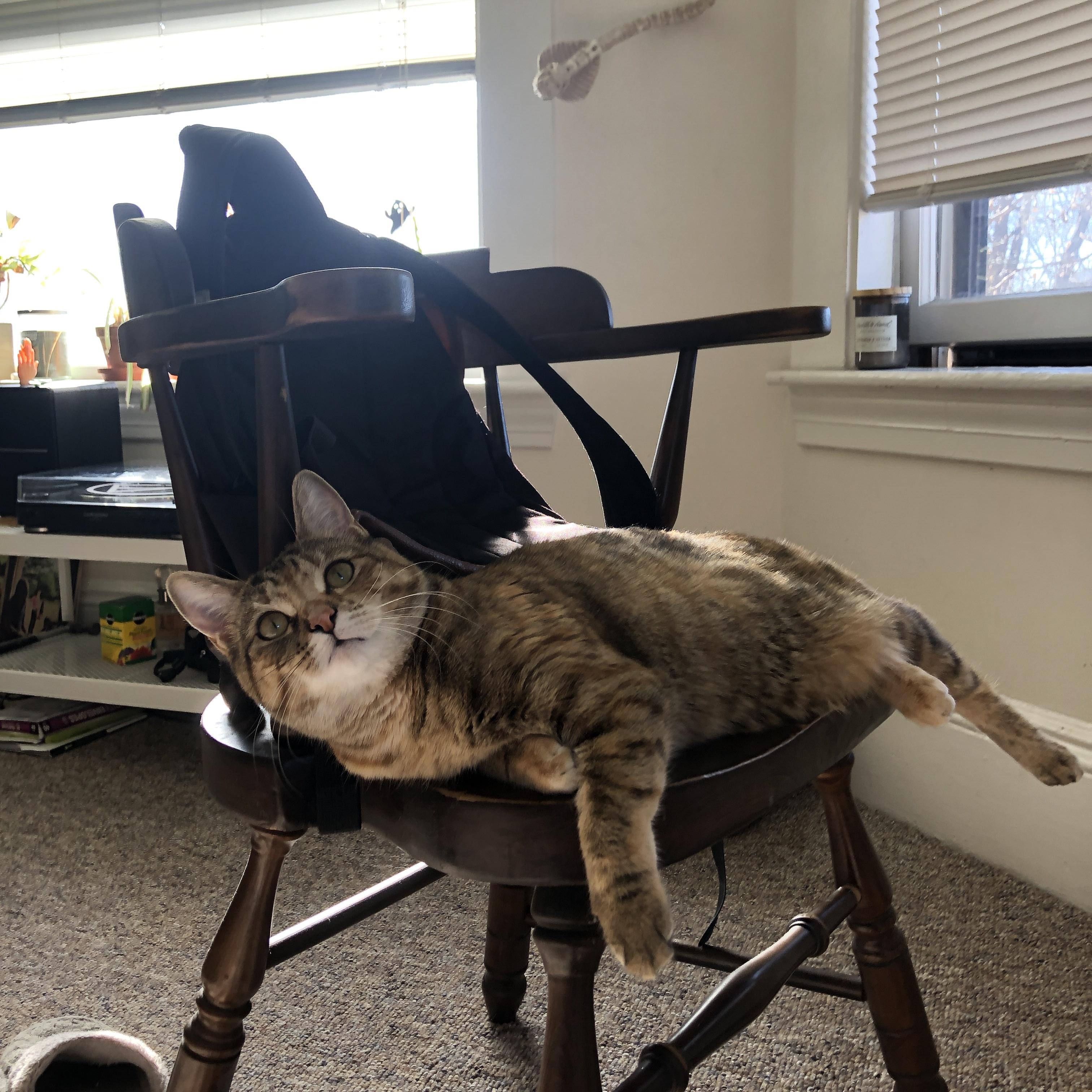 太阳用马刺最擅长的方式击败马刺,霍勒迪在总决赛上演终极进化