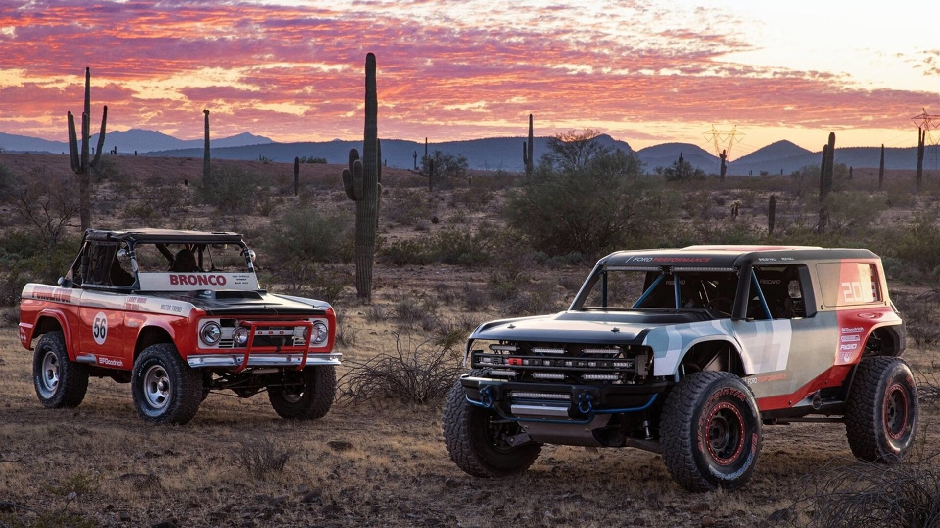 黑白直播体育-关键战突围，厄瓜多尔力克委内瑞拉，阿坎吉成关键先生