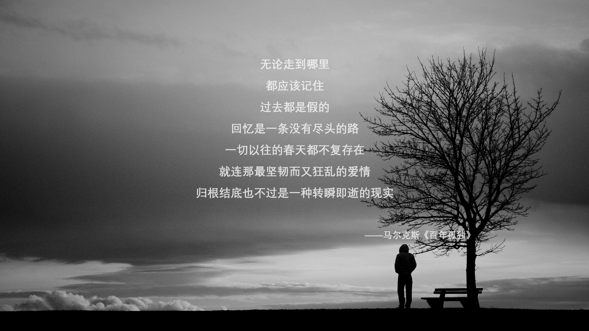 狼性咆哮与孤星闪耀，团队铁血与个人神话的竞技交响