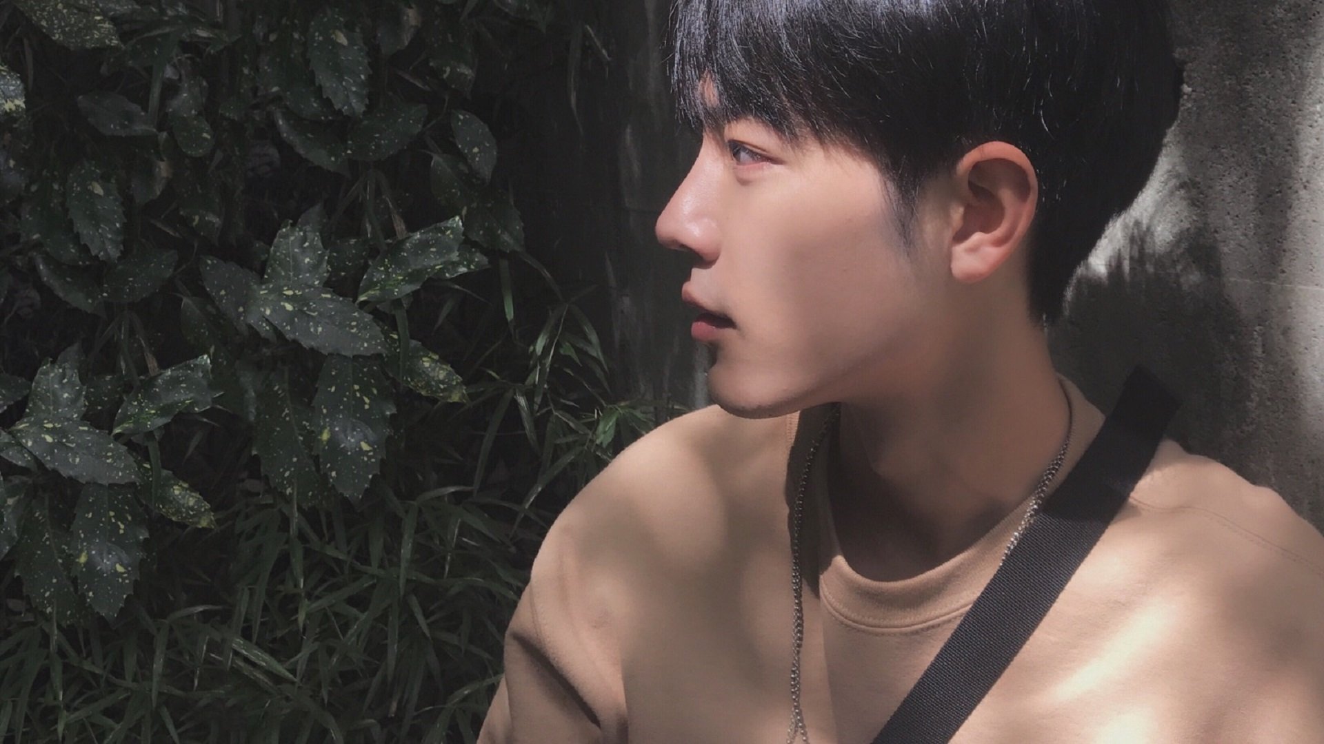 黑白直播体育-东瀛风暴席卷罗讷河，葡萄牙雄鹰的救赎之翼