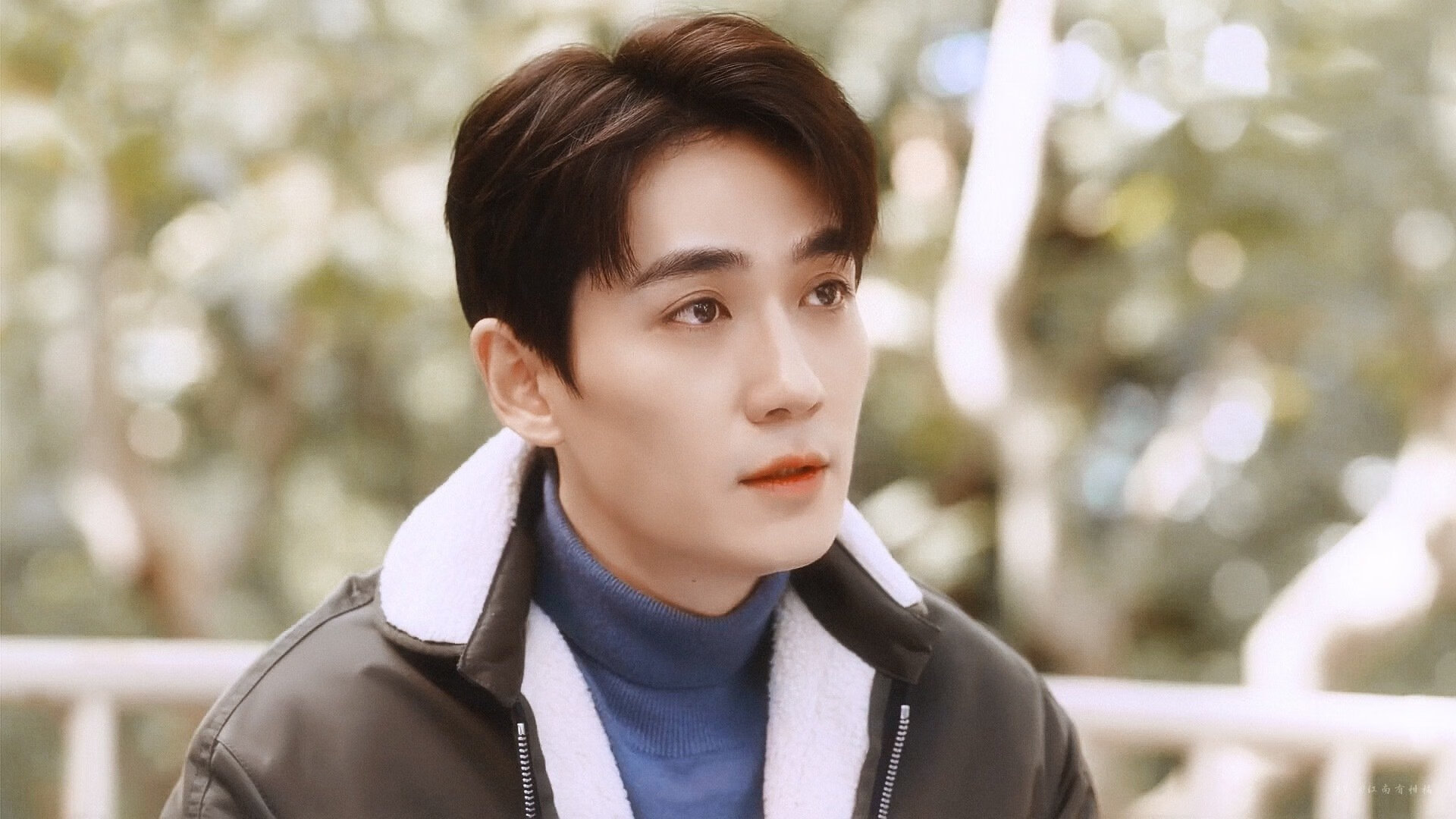 钢铁防线显神威,阿坎吉头槌定江山,苏格兰三球粉碎荷兰