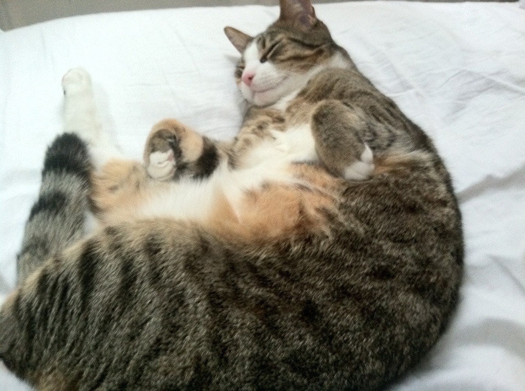 黑白直播nba在线观看-抢七封神之夜，当凯塞多让对手陷入无解绝境