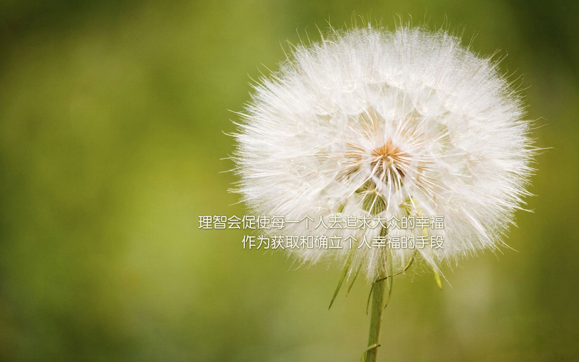 黑白直播在线观看nba-德甲争冠之夜，穆勒的统治级数据震撼全场