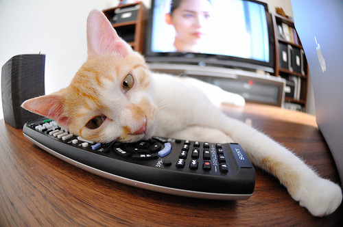 库里的启示，当三分箭雨席卷黄浦江，上海队如何以小球风暴掀翻辽宁王朝？