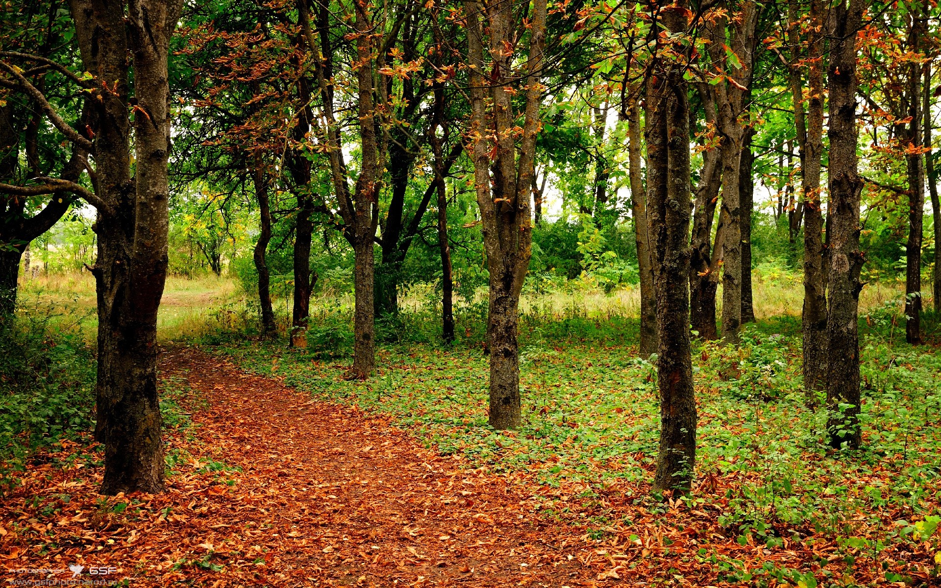 西甲国家德比之夜，特奥攻防转换核心铸就中场霸权