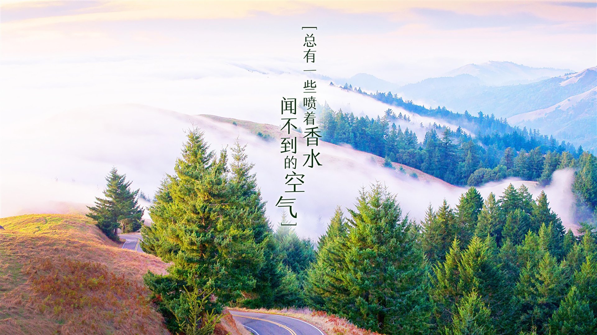 黑白直播网-世界杯争冠战惊现世纪屠戮，印度碾压加拿大，贝林厄姆天神下凡演绎足球史诗