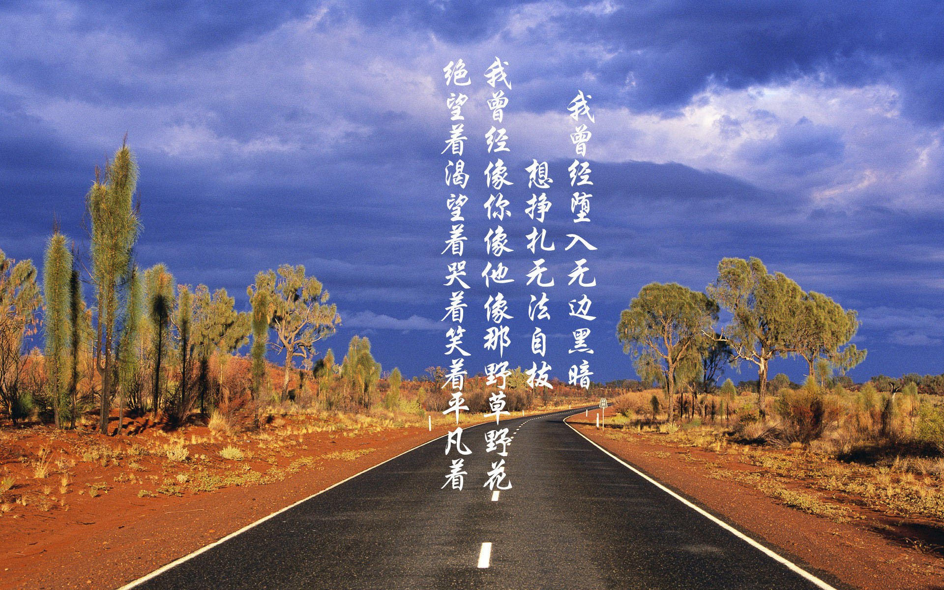 黑白直播免费体育直播-北欧风暴席卷多哈，芬兰六球狂胜伊朗，佩德里独造四球闪耀G组