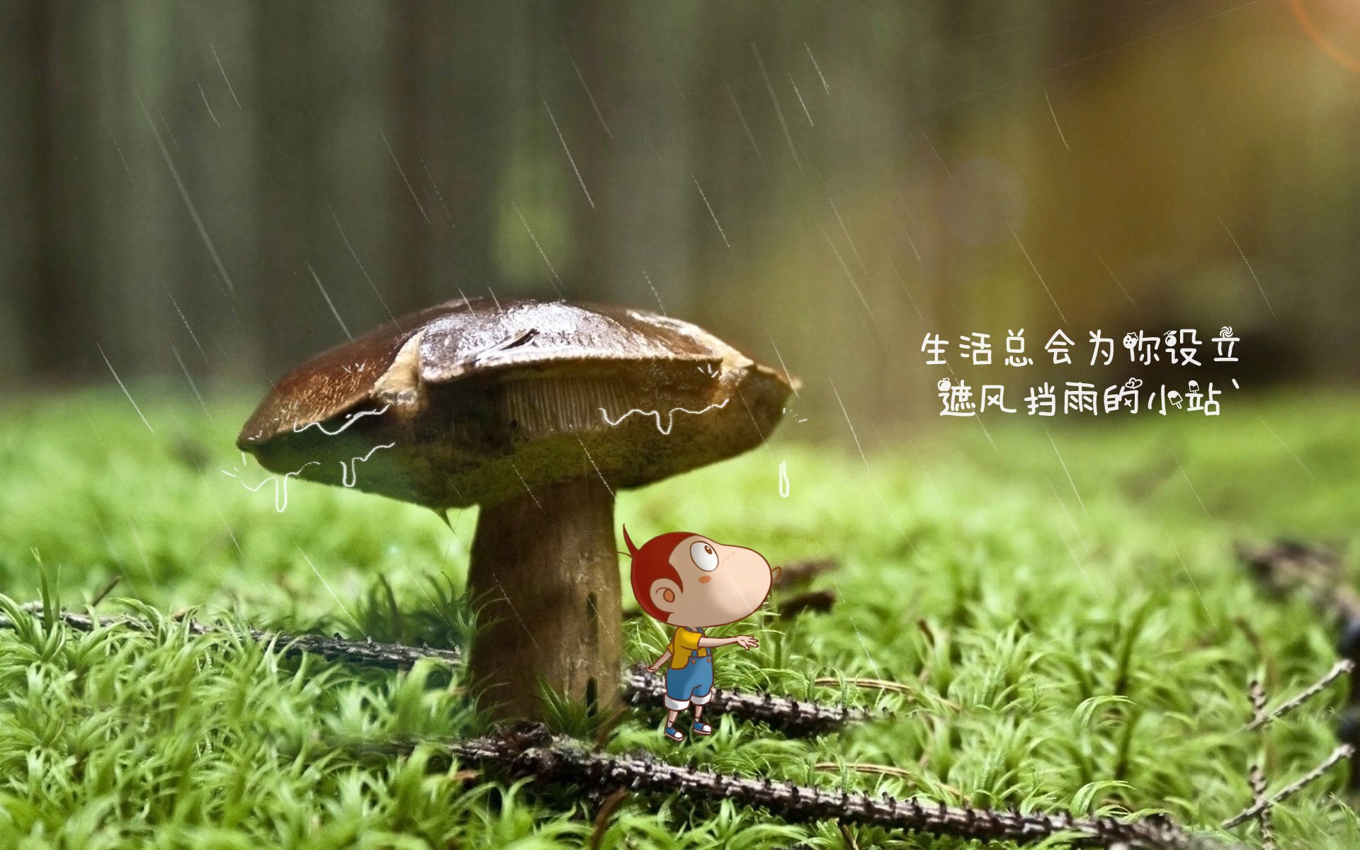 黑白直播在线观看-红魔咆哮震南半球，比利时铁骑碾碎袋鼠，苏亚雷斯演绎硬核传奇