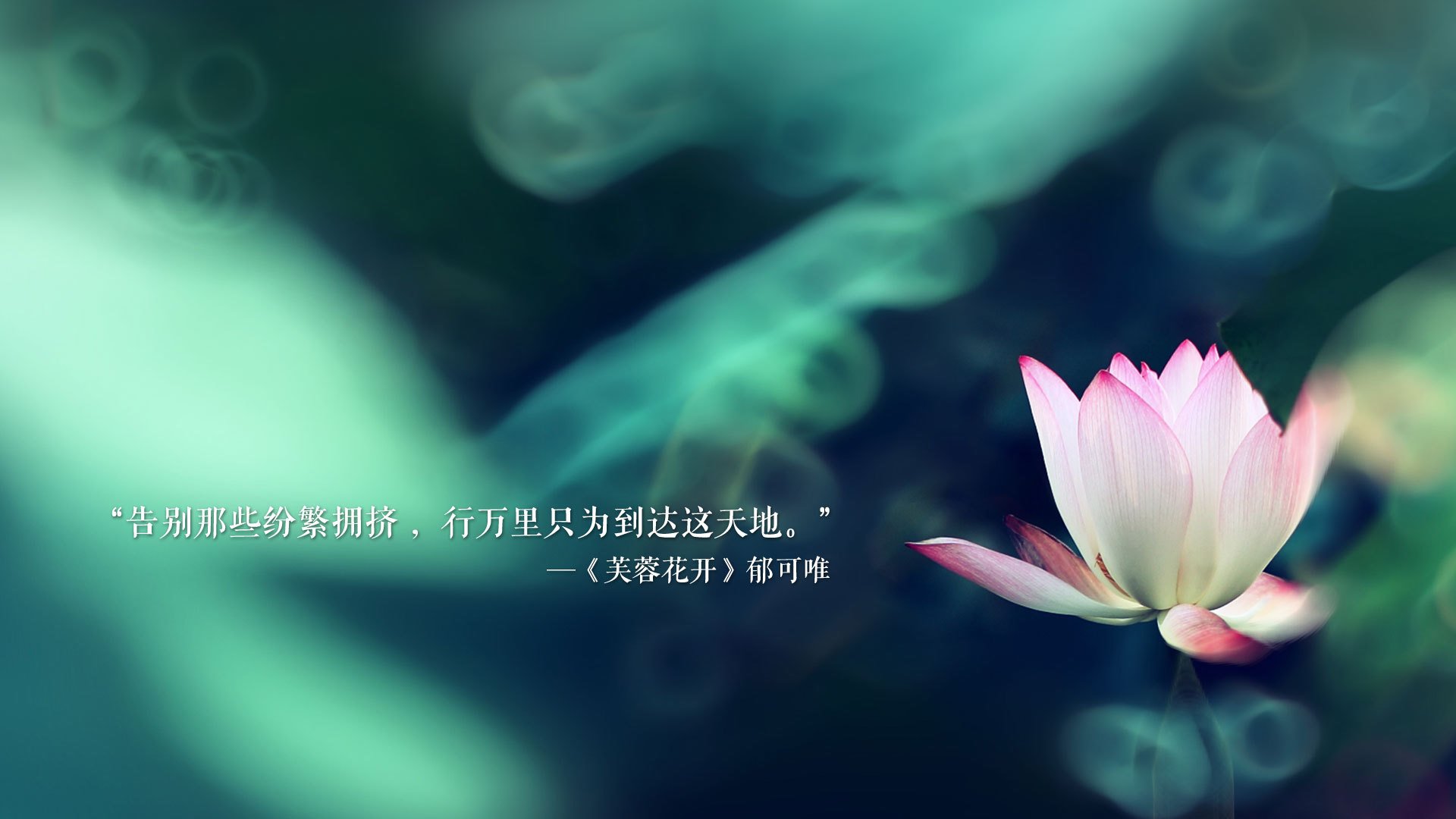 黑白直播网-快刀斩乱麻，摩洛哥风暴席卷巴西—世界杯头名之争的金色闪电